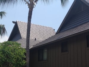 Wyndham Rustic Project